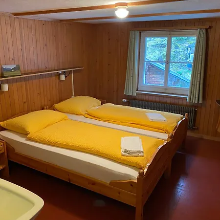 Alpenrose Apartamento Gadmen